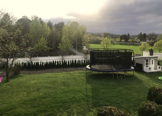 Bilde fra hageprosjekt i Vollen, grønn hekk