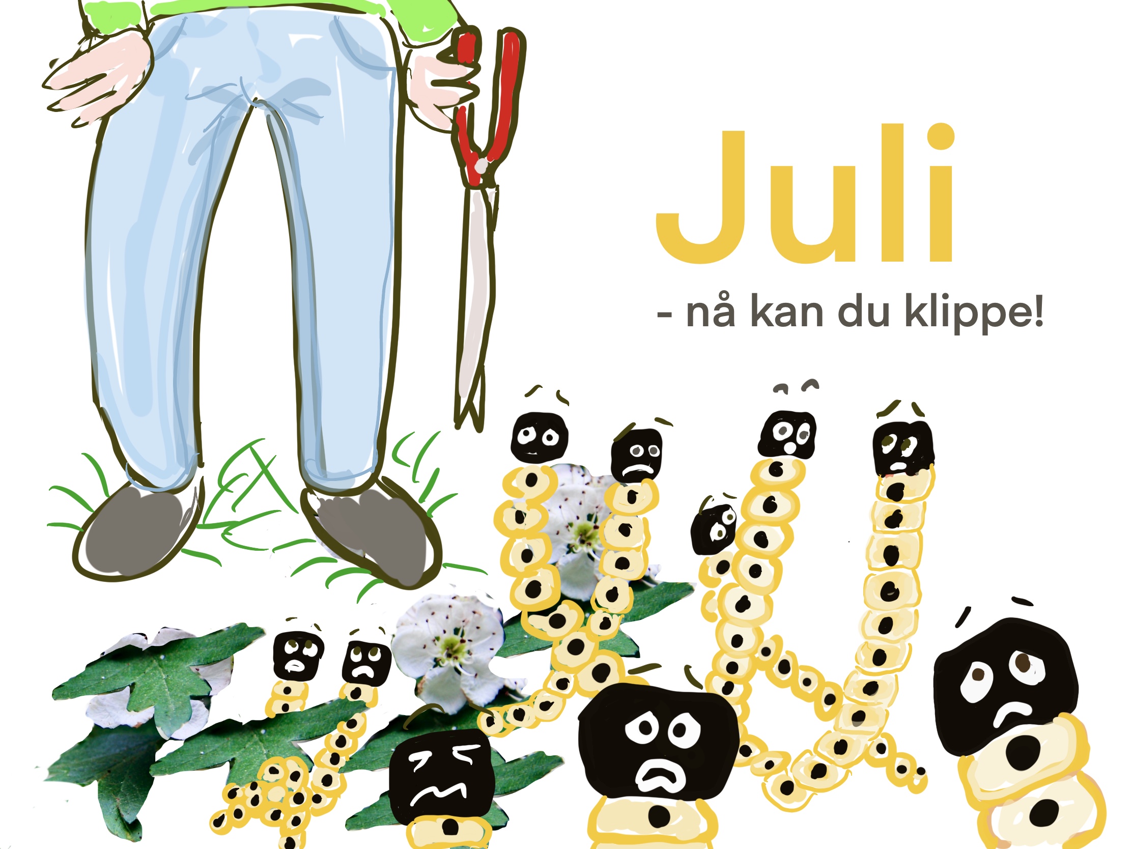 Hagen i juli, midtsommer og blomstring