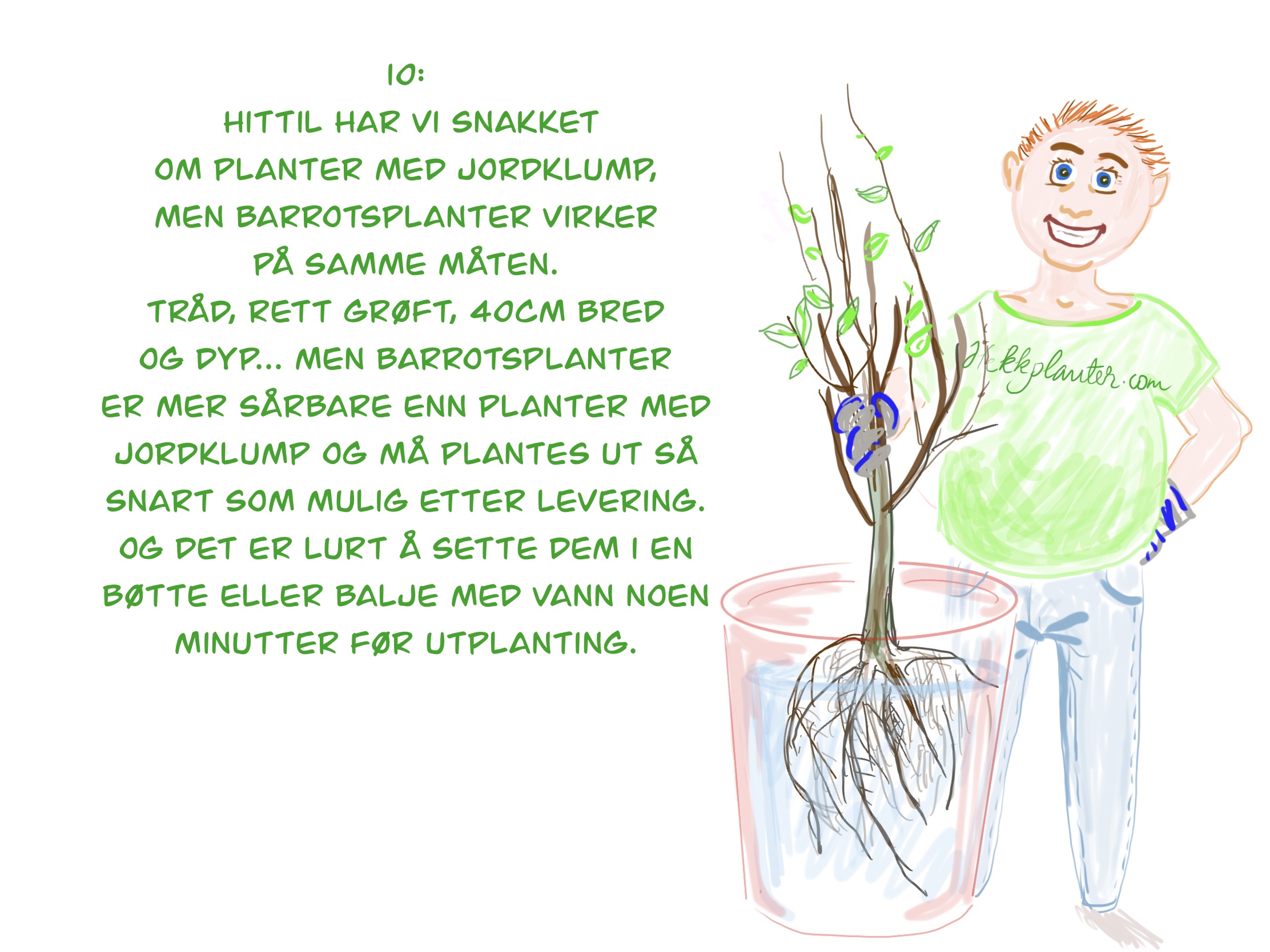 Bilde fra hekkprosjekt Sture, del 10