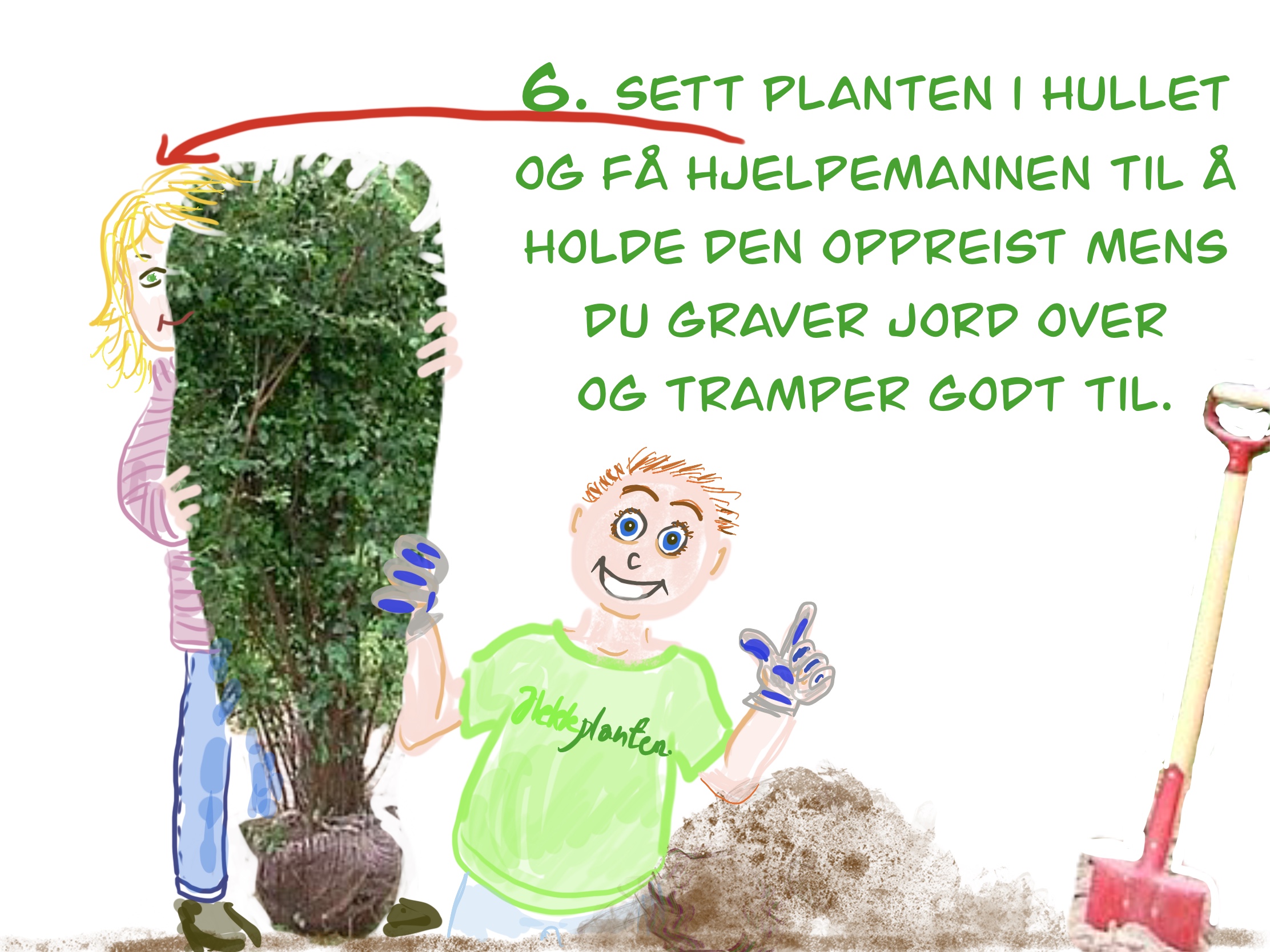 Bilde fra hekkprosjekt Sture, del 6