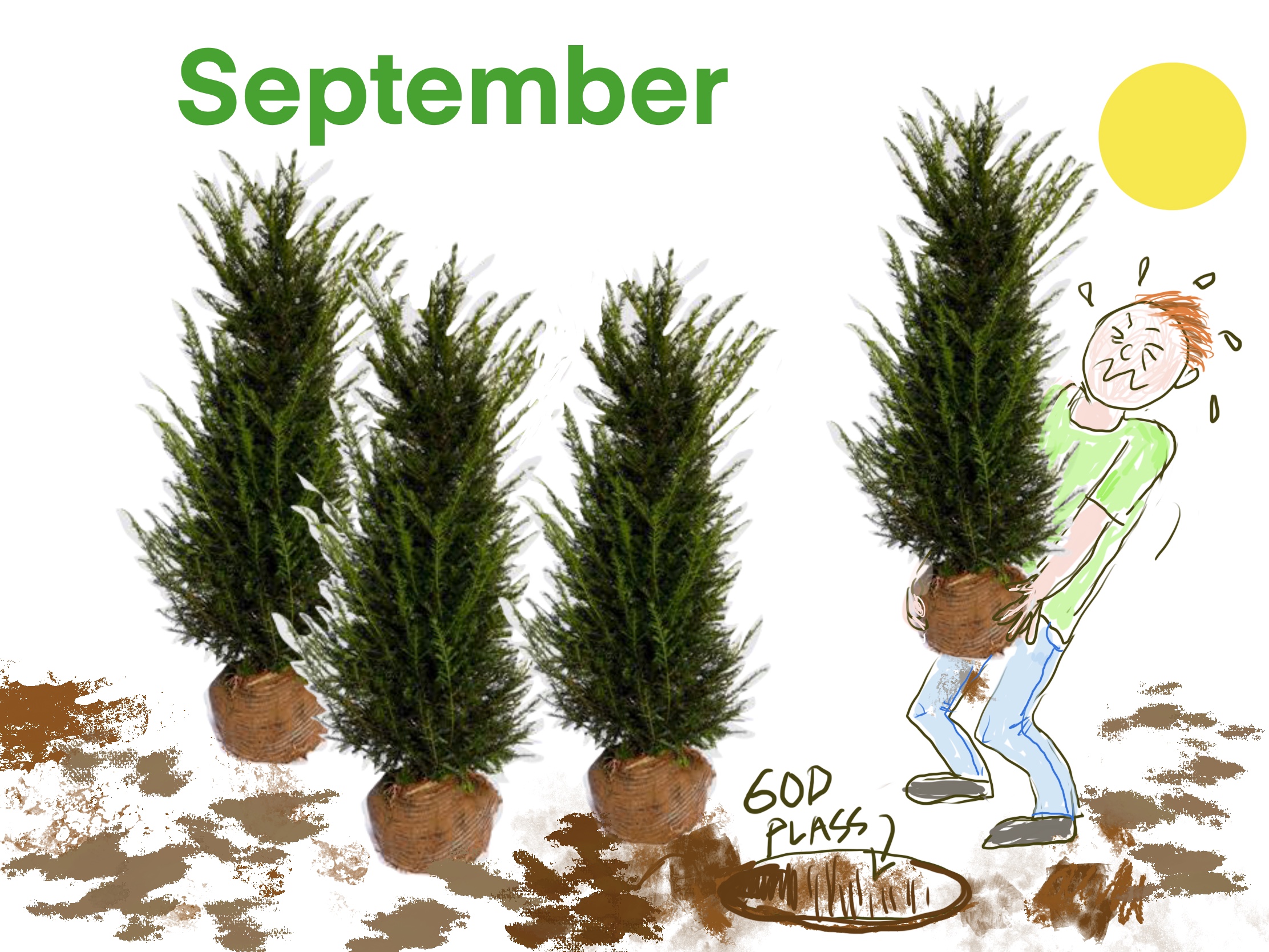 Hage i september, høstfarger og innhøsting