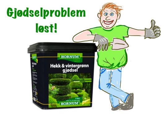 Anbefalt gjødsel til hekkplanter