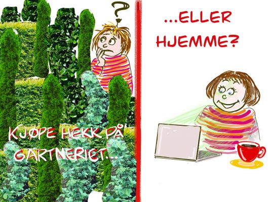 Sture bestiller hekkplanter enkelt fra sofaen